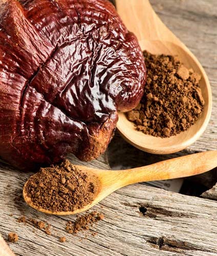 Nutritional Ingredients